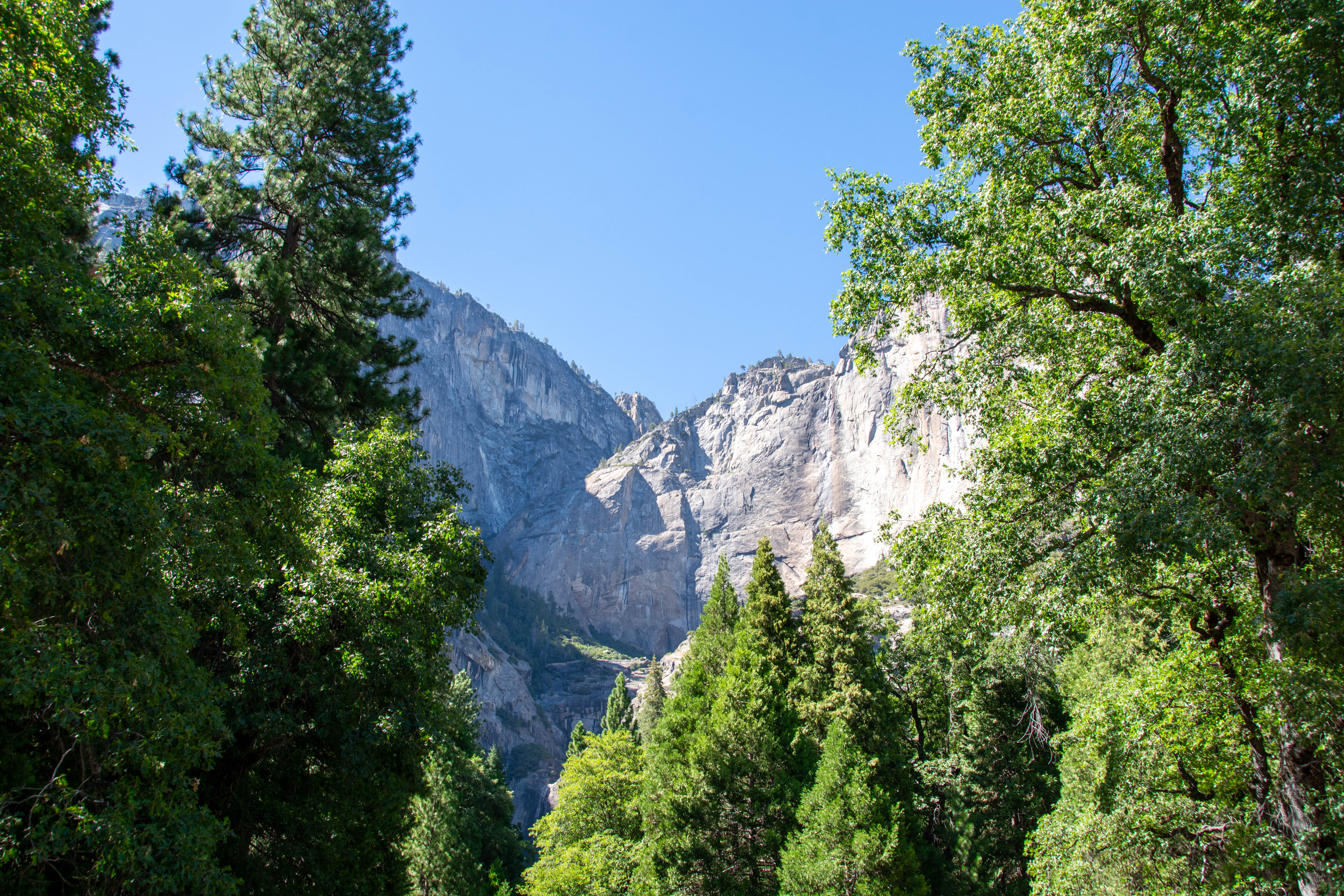 Yosemite Falls 2025